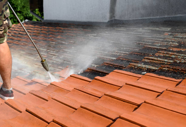 Best Best Pressure Washing Companies  in Lambertville, NJ